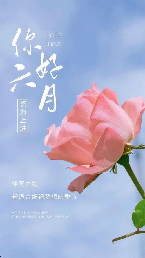 再见六月,告别六月的时光印记  第3张